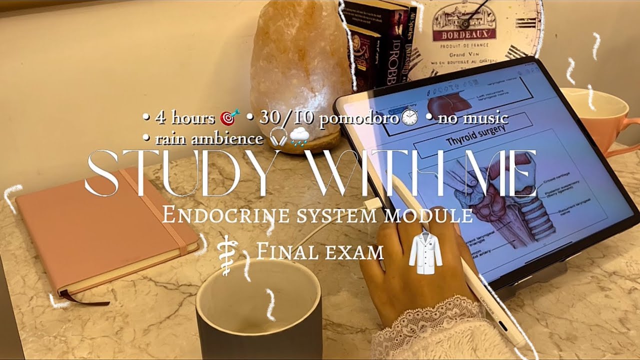 Study with me 4 hours 🥼 | final med school exams - 30/10 pomodoro ⏱️ - no music 🎧