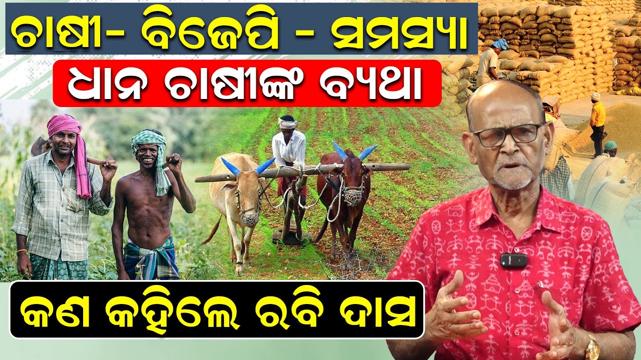 ଚାଷୀ-ବିଜେପି-ସମସ୍ୟା; ଧାନ ଚାଷୀଙ୍କ ବ୍ୟଥା; କଣ କହିଲେ ରବି ଦାସ ..| Rabi Das | Farmers Issues | News Room