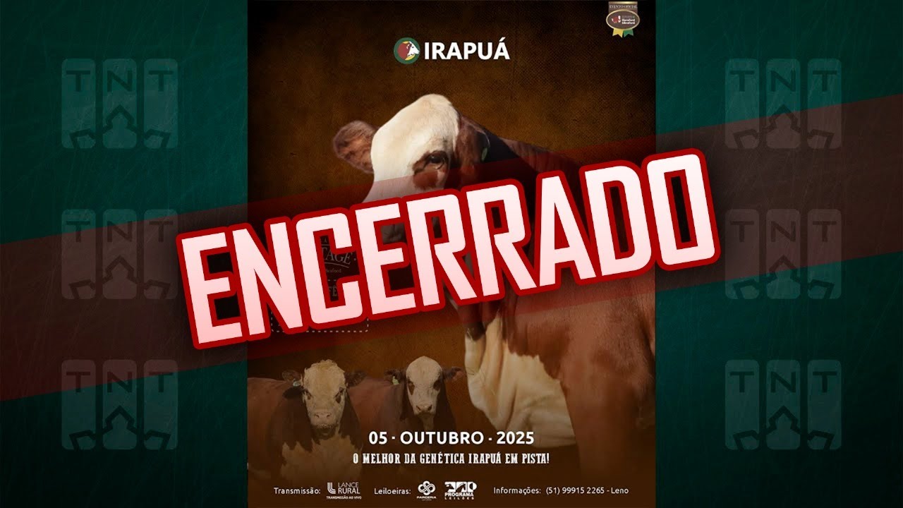 05/10 - Leilão Heritage Faz. Irapuá | 15h