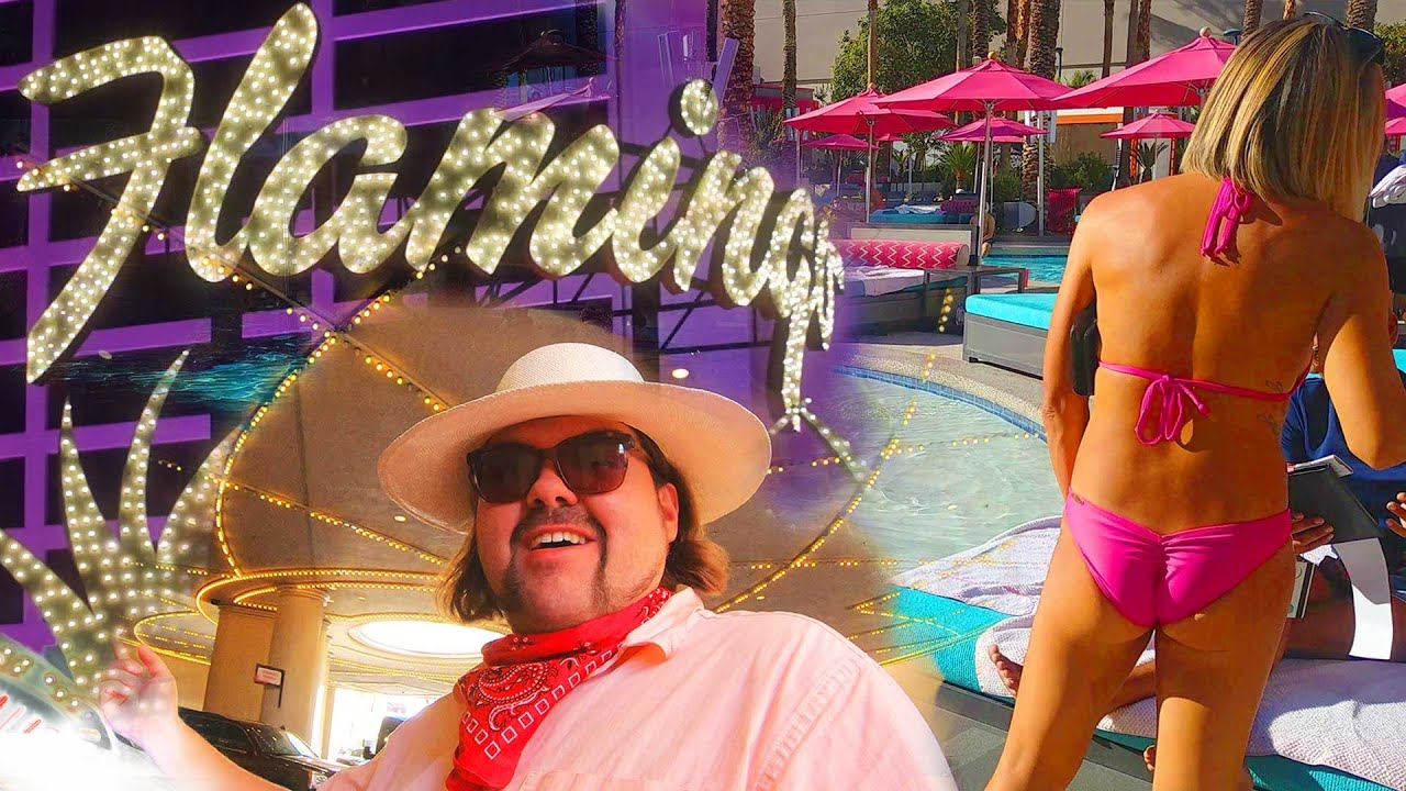 Экскурсия Flamingo Las Vegas, Go Room, Go Pool, Buffett Margaritaville, казино, ресепшн отеля, Ha...