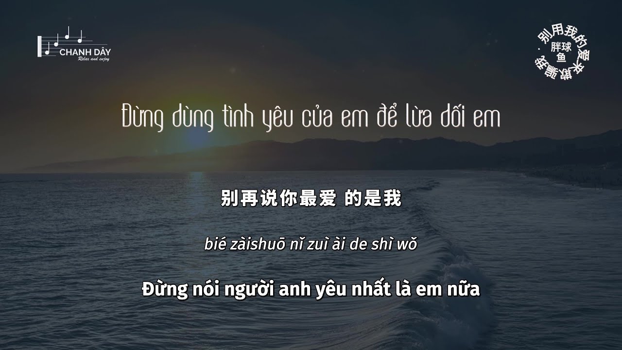 [Vietsub] Đừng dùng tình yêu của em để lừa dối em (别用我的爱来欺骗我) - Bàn Cầu Ngư (胖球鱼)