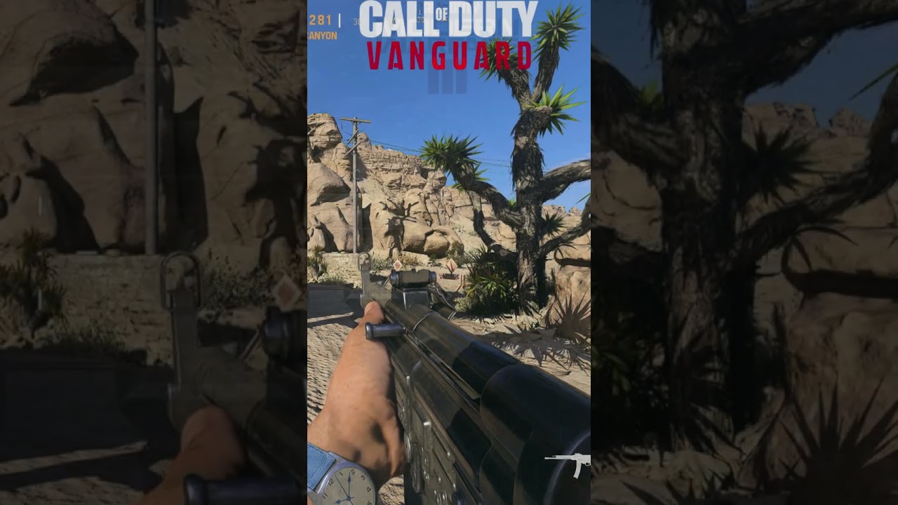 StG 44 - Vanguard VS Modern Warfare 3 2023