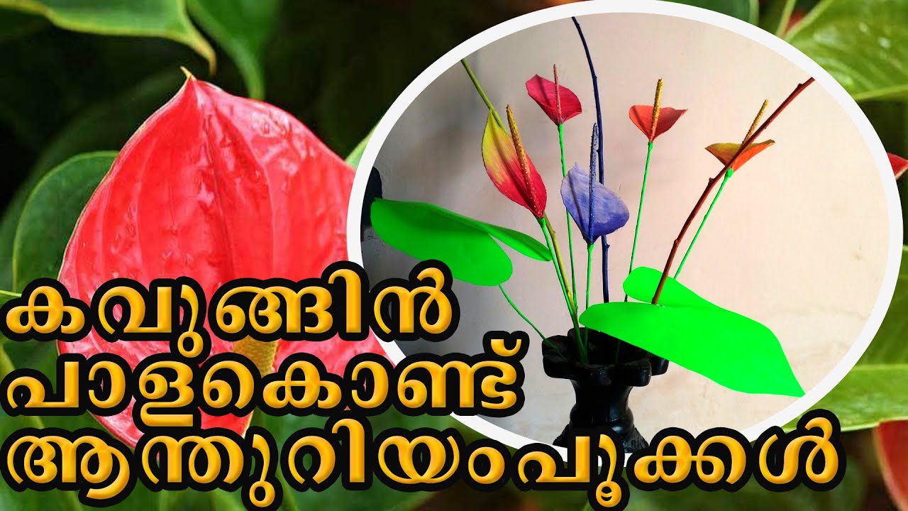 Kavungu pala pookal | Pala pookal | Flower making | Arecanut leaf flower making  | dry flower making