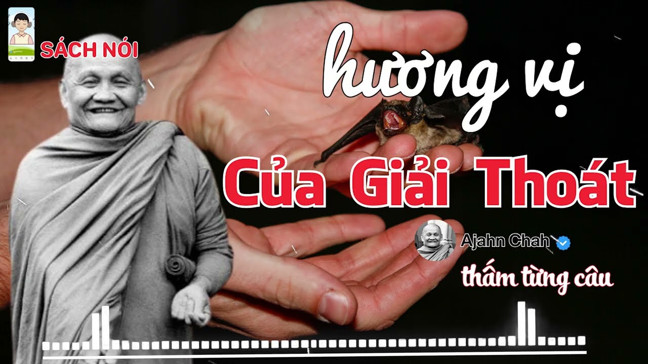 Hương Vị Của Giải Thoát – Nghe Ajahn Chah Để Thấy Ra Con Đường Chấm Dứt Khổ Đau | NÊN NGHE 1 LẦN