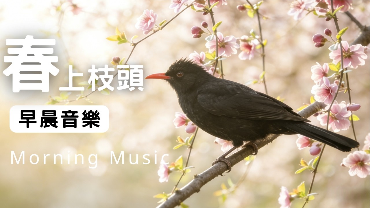 早晨音樂時光 ｜早晨療癒旋律 |🌤️枝頭上的晨光鋼琴音樂 1小時｜在清新的空氣裡慢慢醒來｜讓心慢慢醒來｜放鬆・專注・讀書・工作