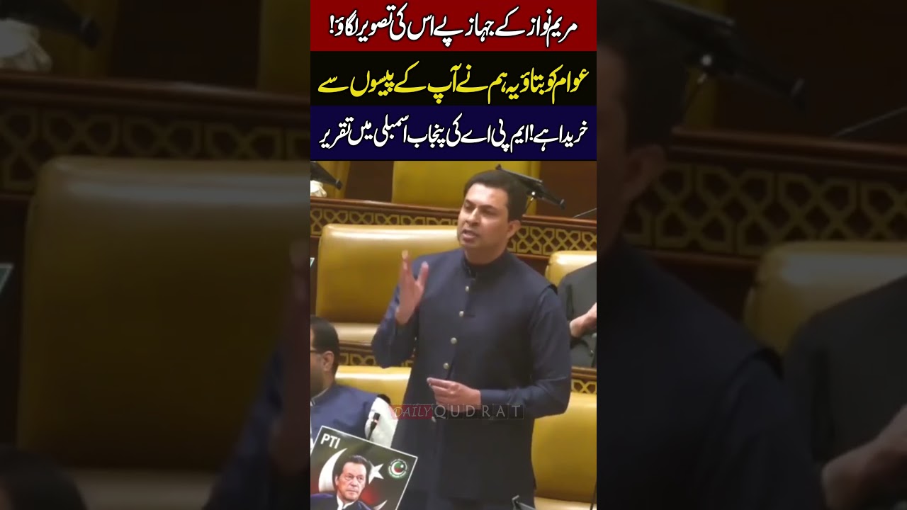 Put Maryam Nawaz Picture On Plane!' PTI MPA Fiery Speech In Punjab Assembly 🚨🔥