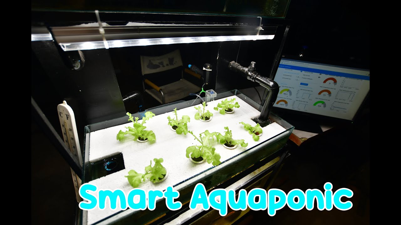 Smart Aquaponic