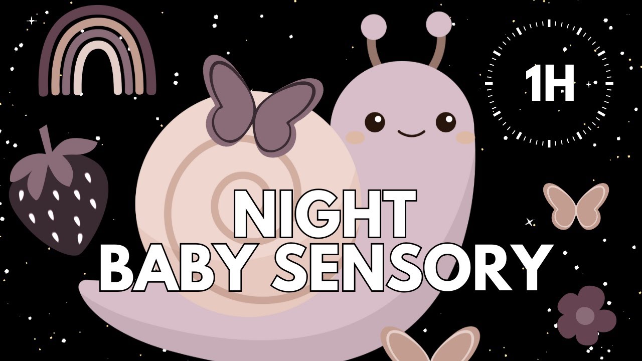 Night Routine Baby Sensory 🫐🌙 | Garden At Night | Calm Sleep Music | Low Stimulation | 1 Hour