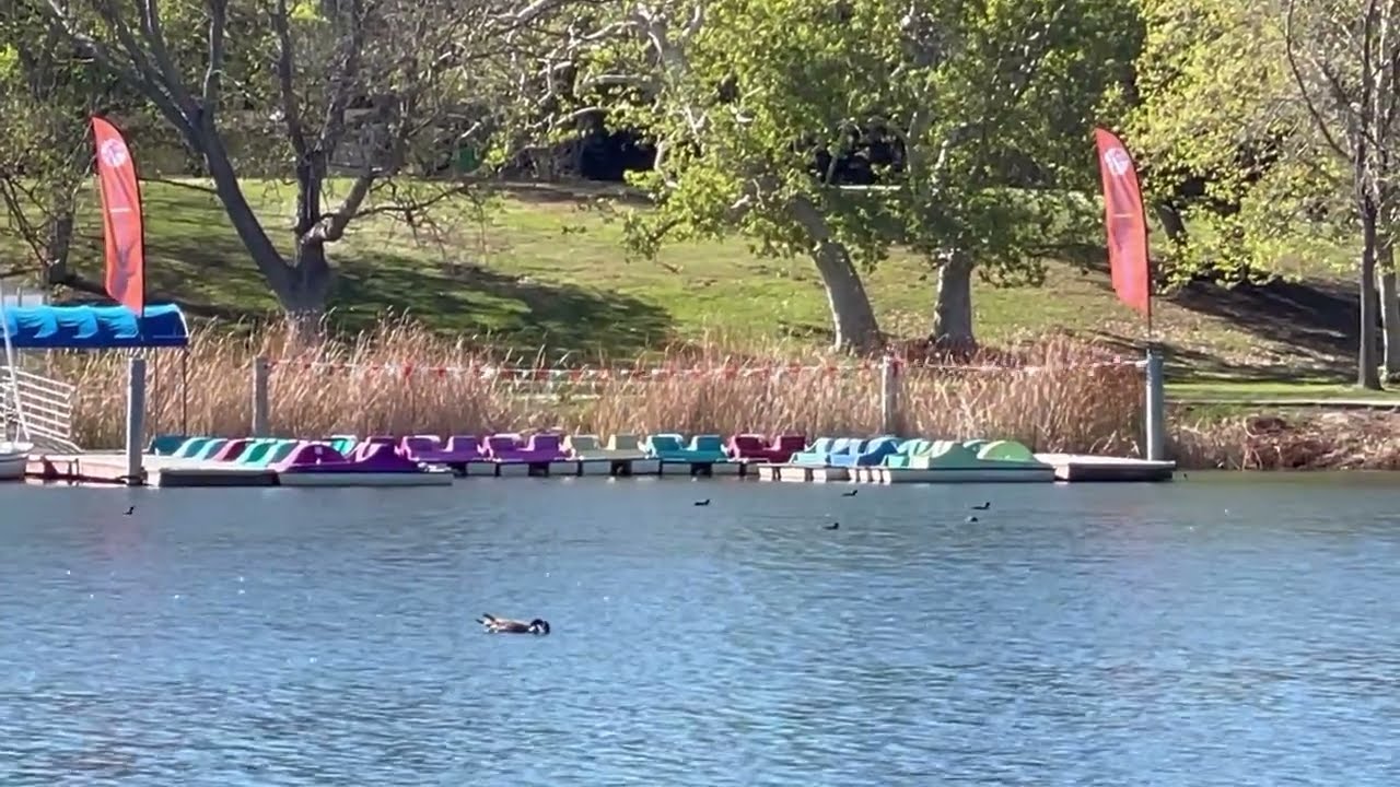 #2593 The Lake, the Fowl (video output 6EDD20)