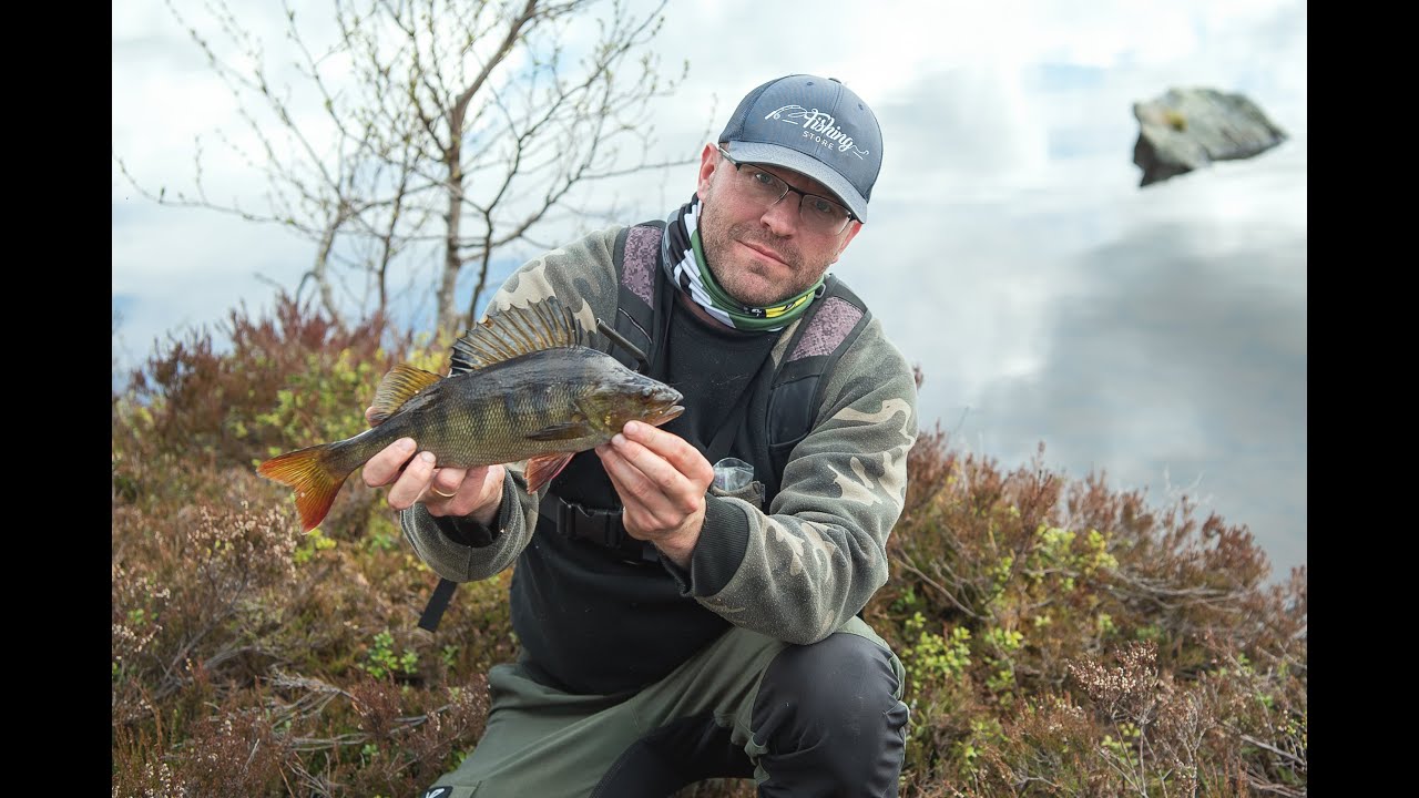okonie na casting 2022- shimano curado BFS /shimano zodias BFS (recenzja)