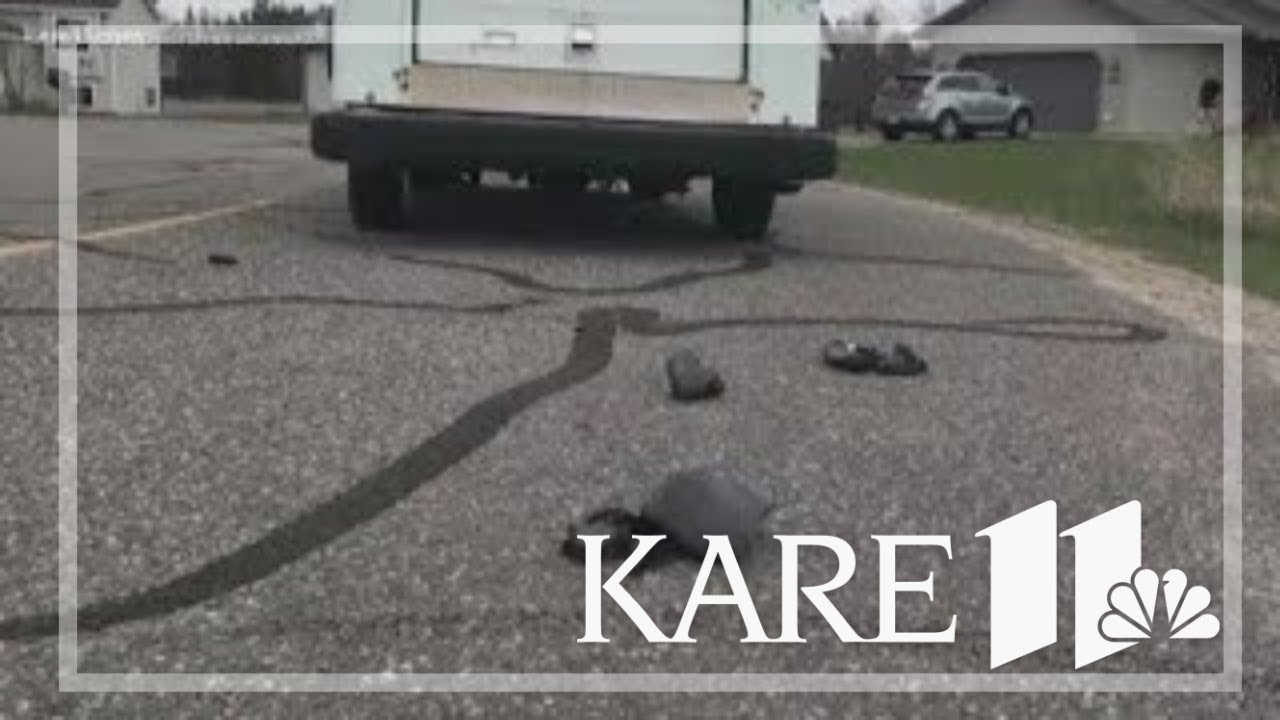 Helmet saves life of boy hit by mail truck