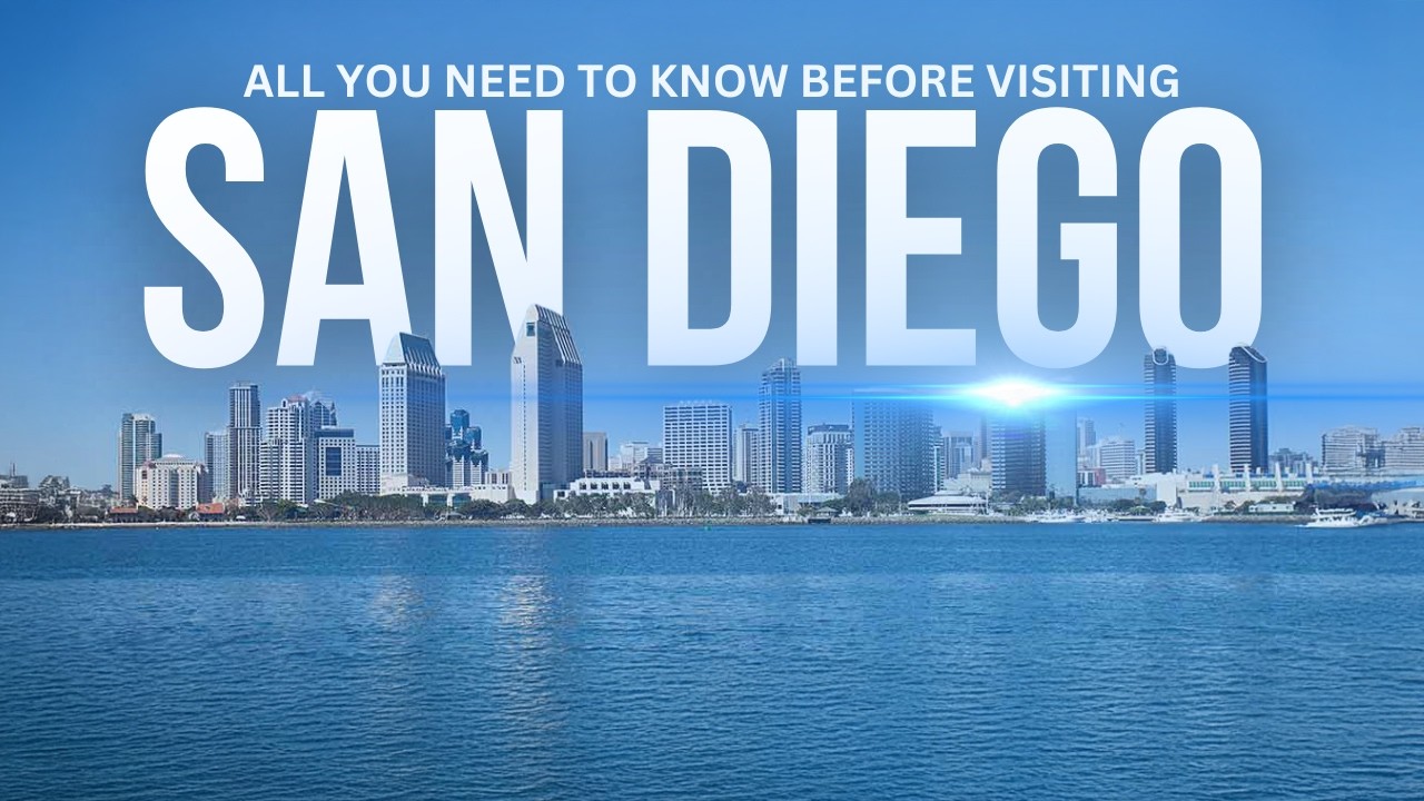 Top 10 Must-Visit Beaches in San Diego: Sun, Surf, and Sea Lions!