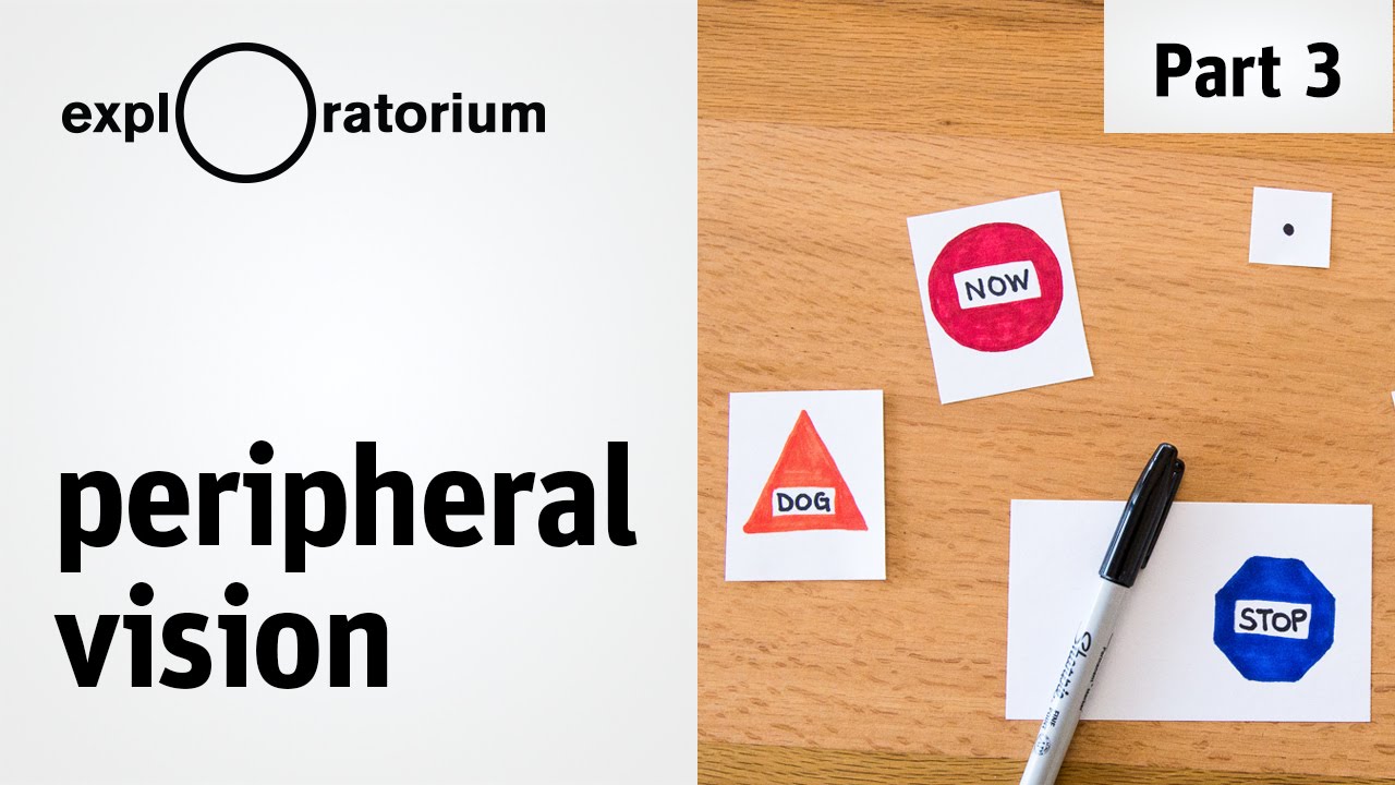 Do the experiment: Peripheral Vision - Science Snacks activity