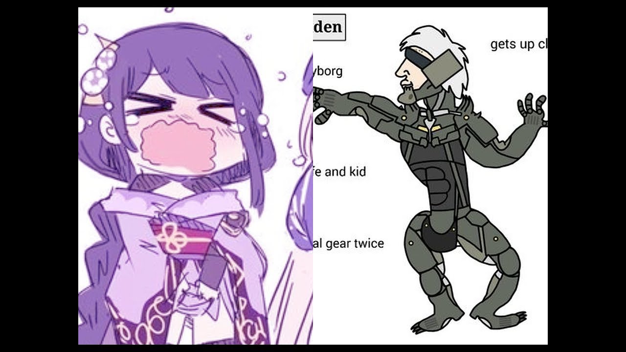 Baby raiden shogun vs the CHAD raiden metal gear