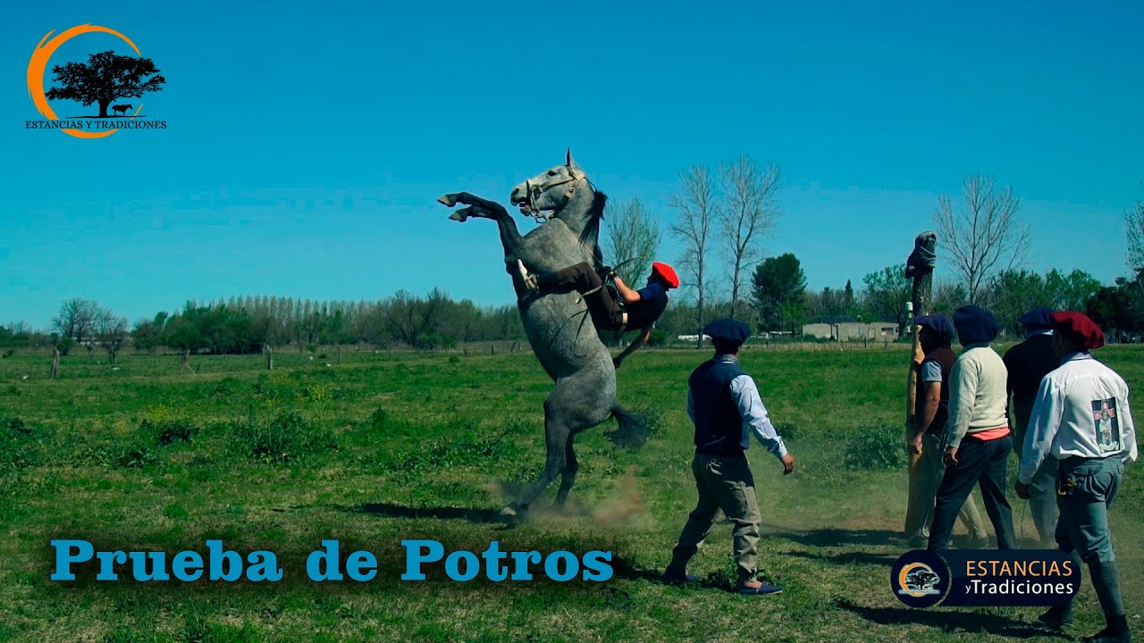168 Prueba de Potros - Estancias y Tradiciones