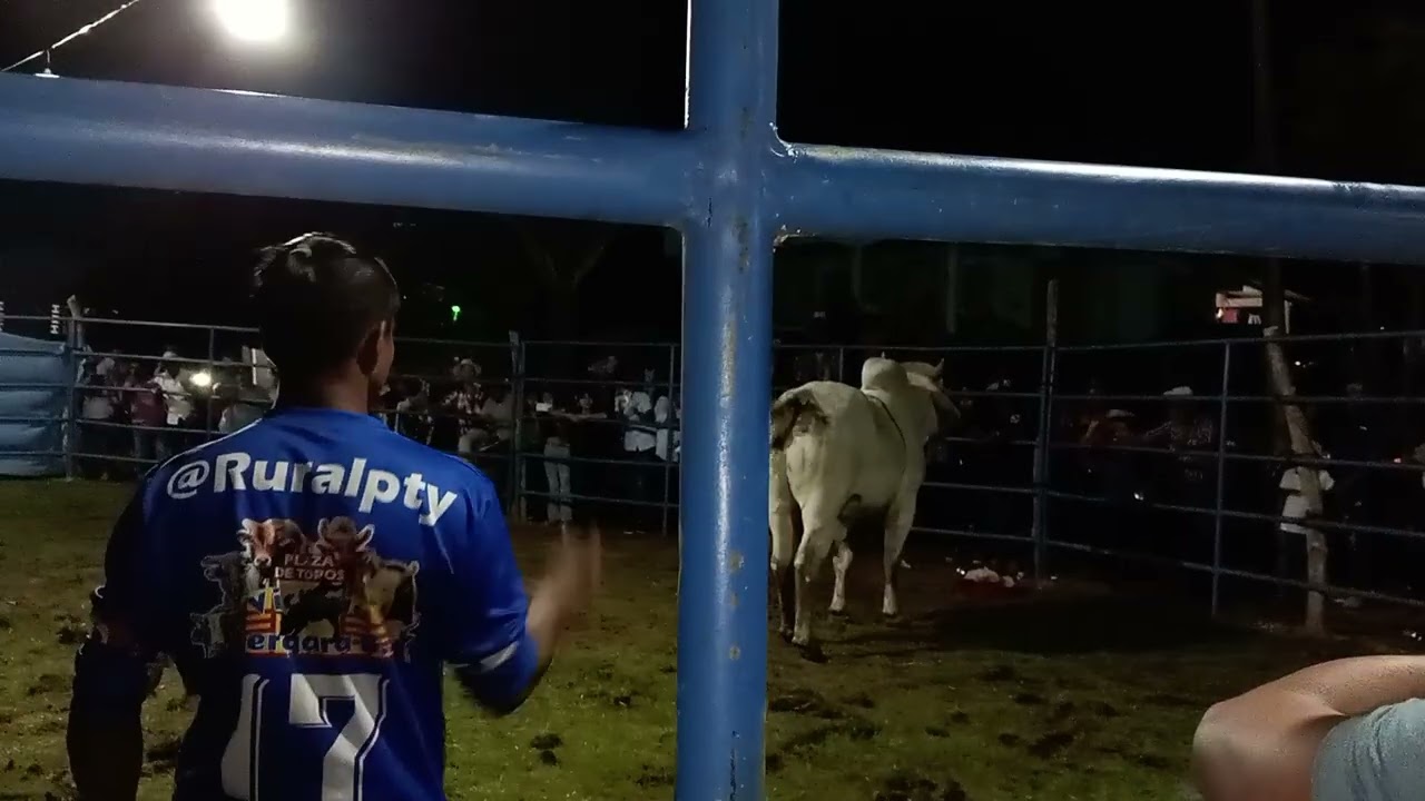 Monta de toro, Sábado de Carnaval La Honda de La Pintada. 