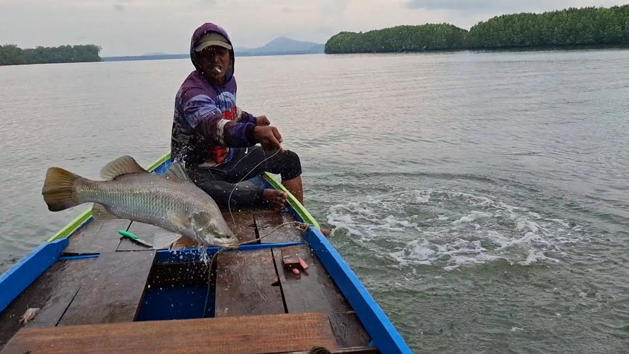 HARI YANG PAS UNTUK BERBURU BARRAMUNDI