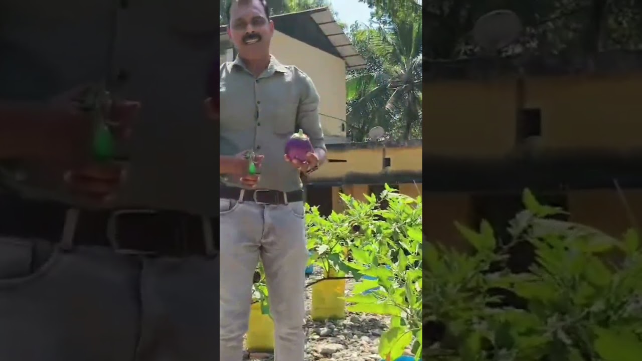Block panjayath Kazhakkottam- Sub Treasury Kashakkoottam-  Office Premises Farming