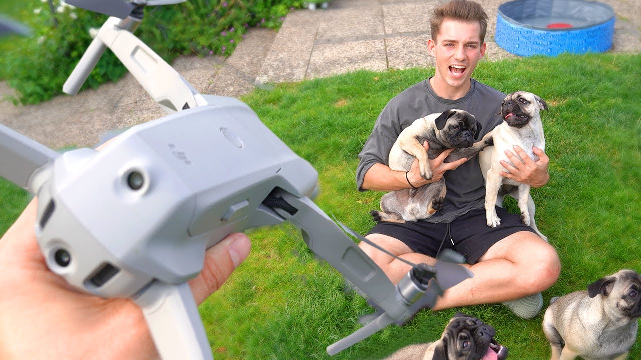 Die HUNDE WELPEN gegen DROHNE! | Welpen Vlog #5
