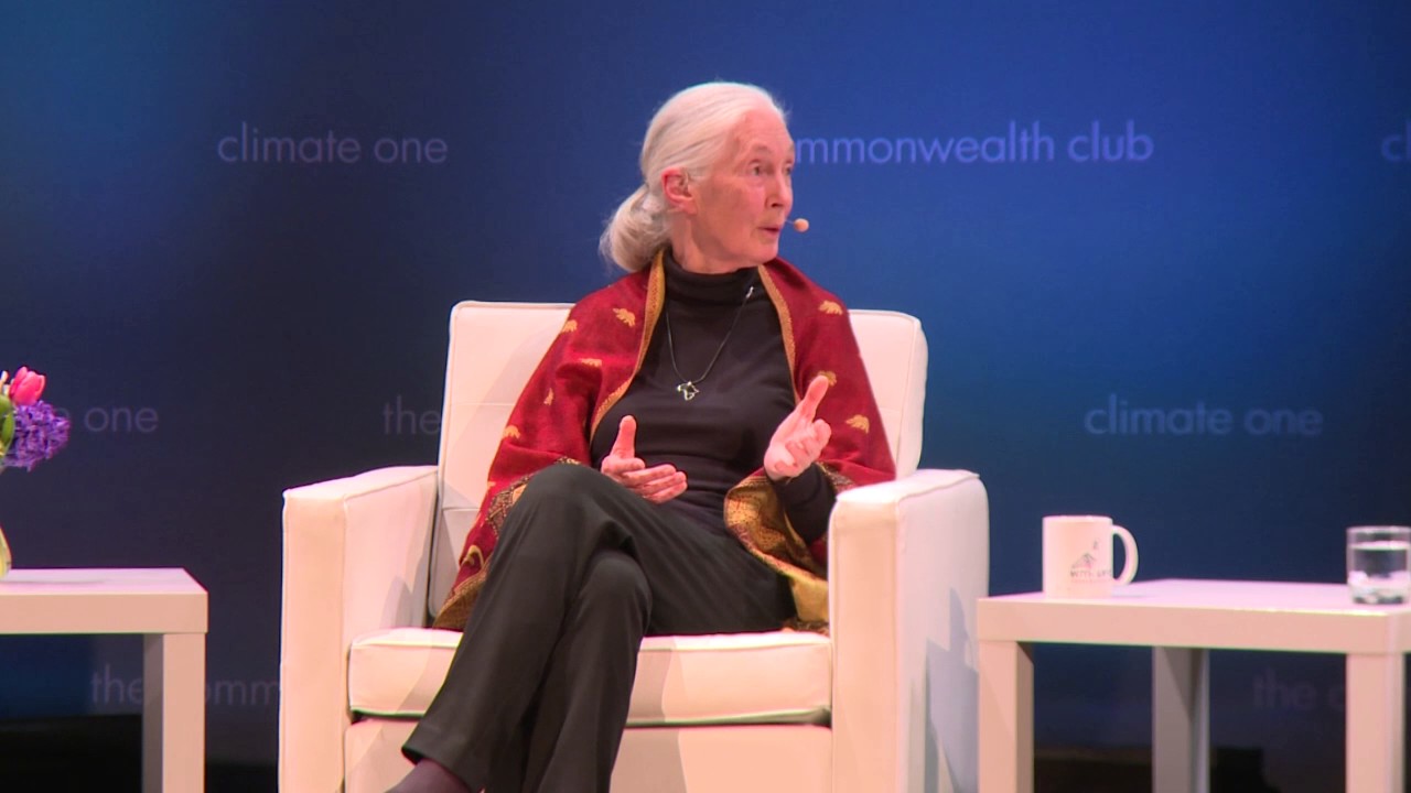 Jane Goodall on Diet and the Environment