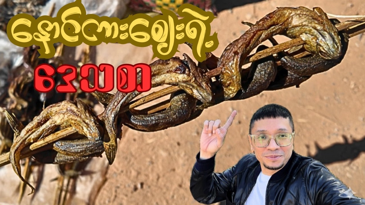 နာမည်မခေါ််တတ်တဲ့ငါးနဲ့နောင်ကားစျေး(The Nameless Fish and the Naung Kar Market)