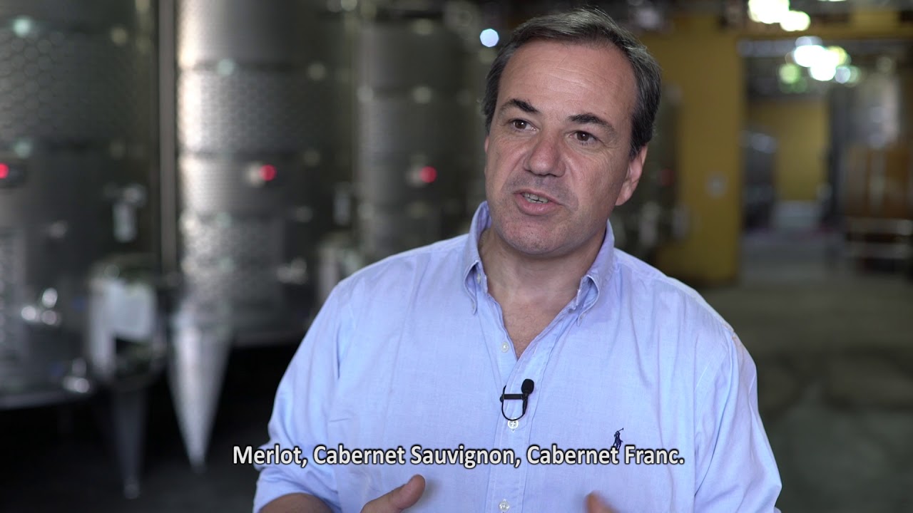 Viña Luis Felipe Edwards Video