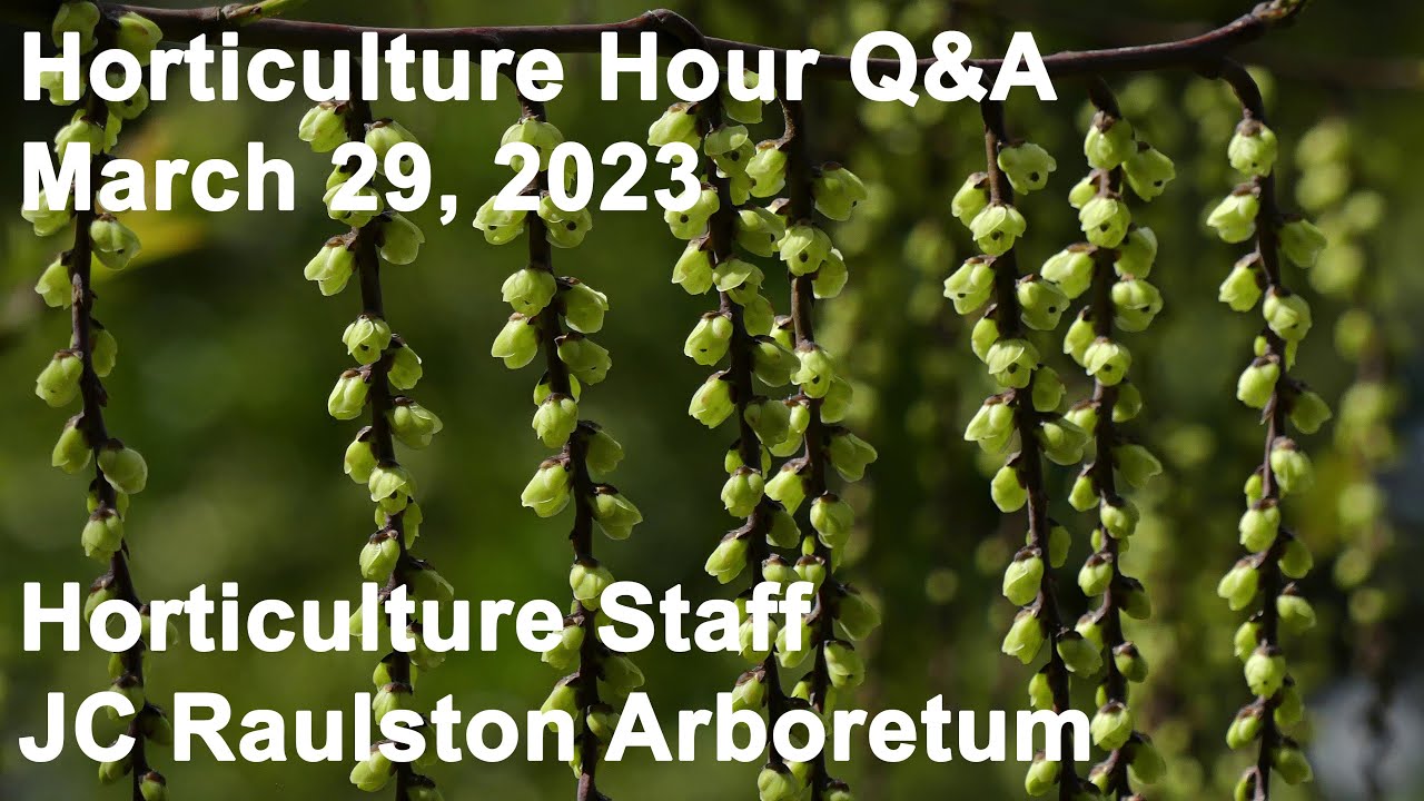 JCRA Horticulture Hour - March 29, 2023