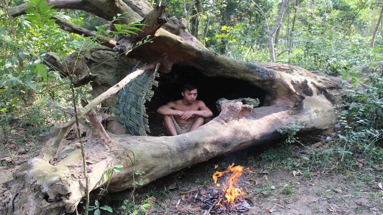 Primitive Technology: House in the trunk