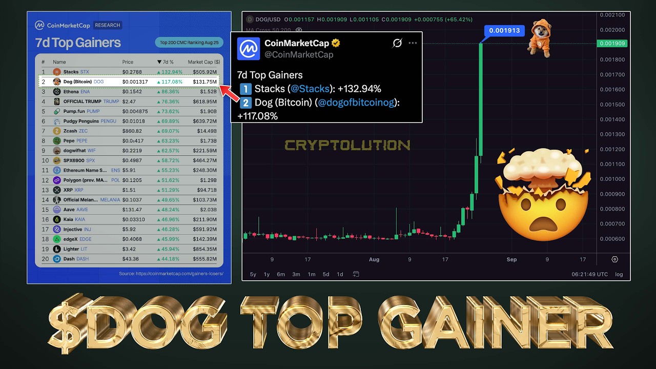$DOG Top Gainer on CMC 🚨 NEW RECORD TARGET IN SIGHT!