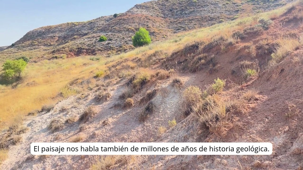 La Peraleja y las estepas yesosas del valle del río Guadamejud