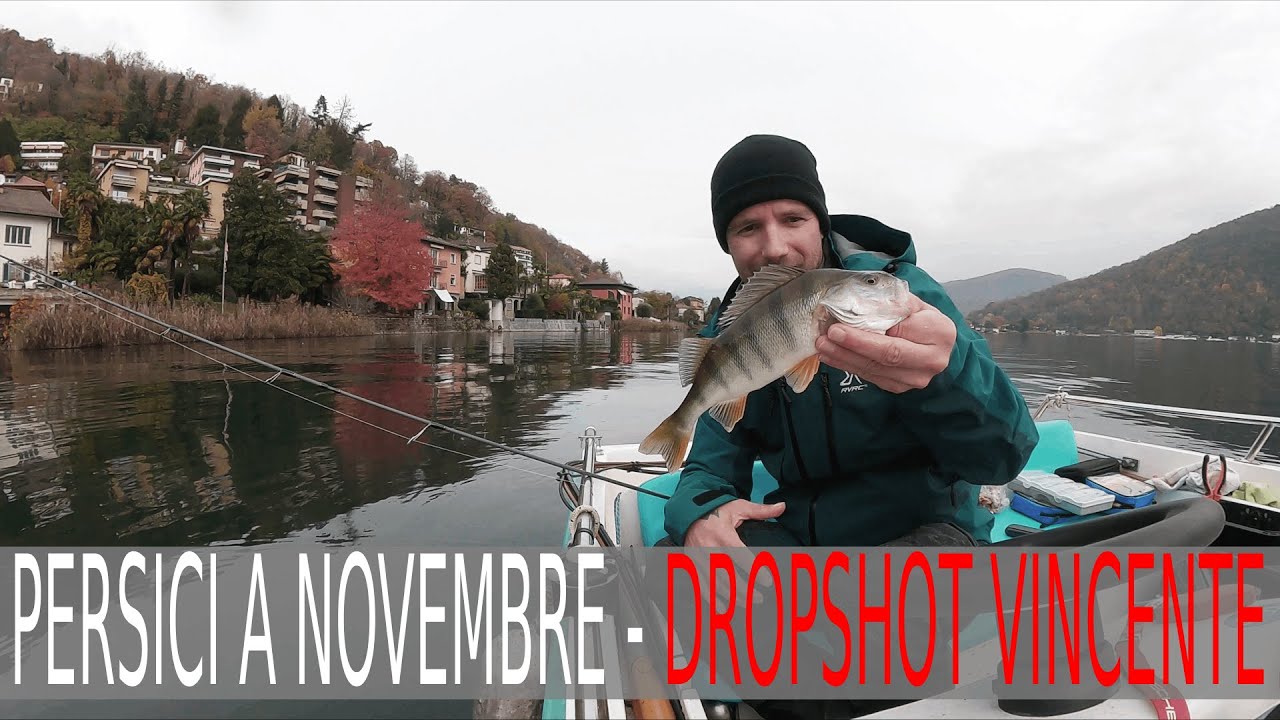 PERSICI A NOVEMBRE - DROPSHOT VINCENTE