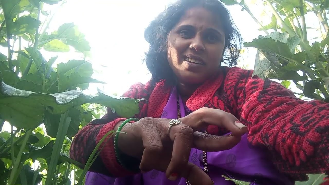 सरसों के खेत में भाभी लिया