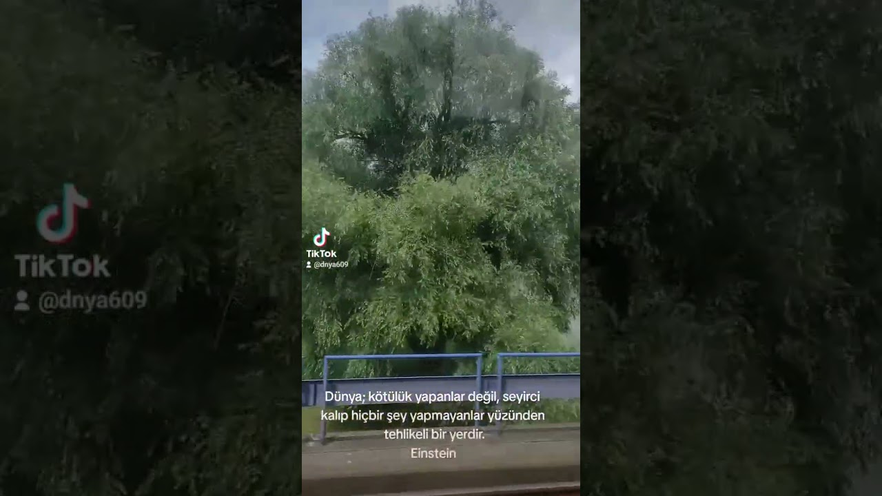 #rotterdamcity