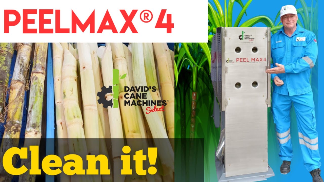 2023 Early Release 4 Cane Industrial Sugarcane Automatic Peeling Machine  | PeelMax 4