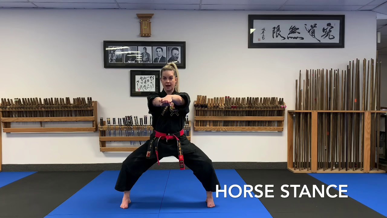 Northern Karate Online Intro Class 1