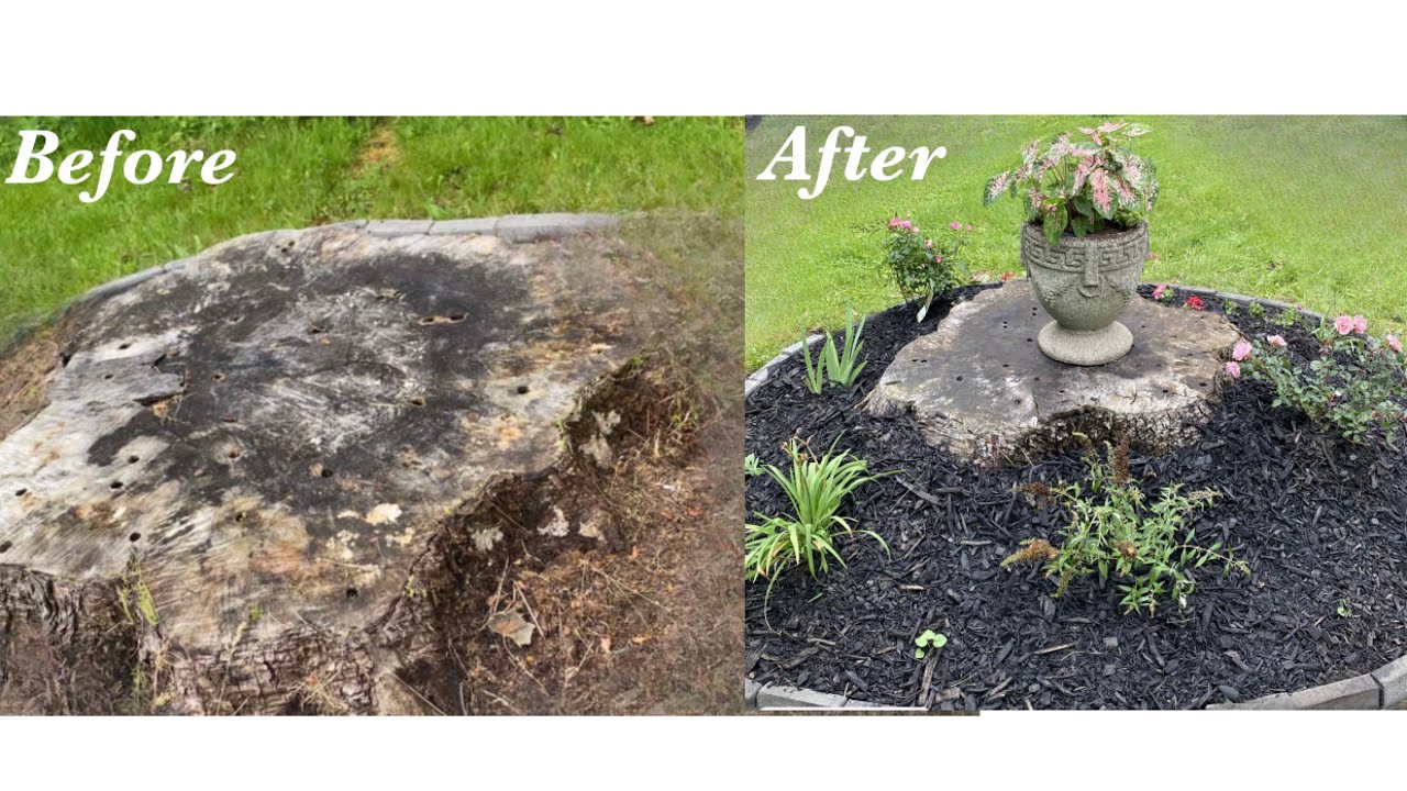 Landscaping on tree stump #diy #spring