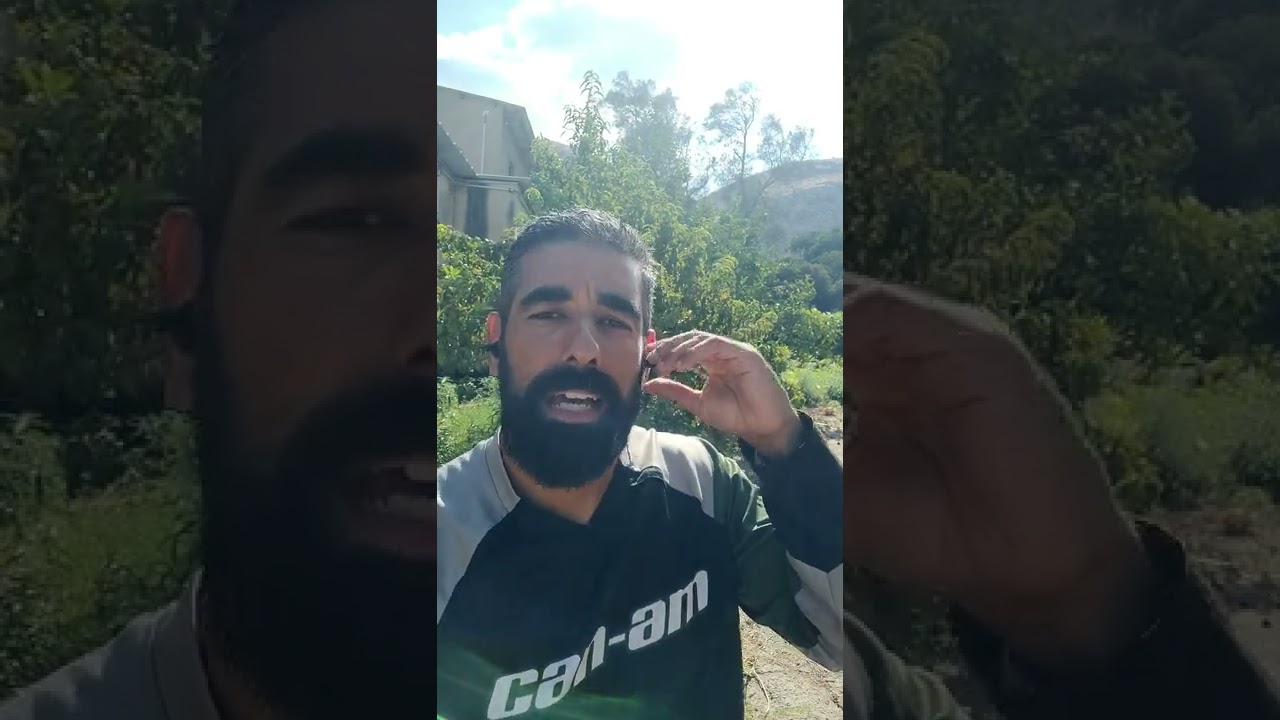 סיכום ספר | להתחיל עם למה | סיימון סינק