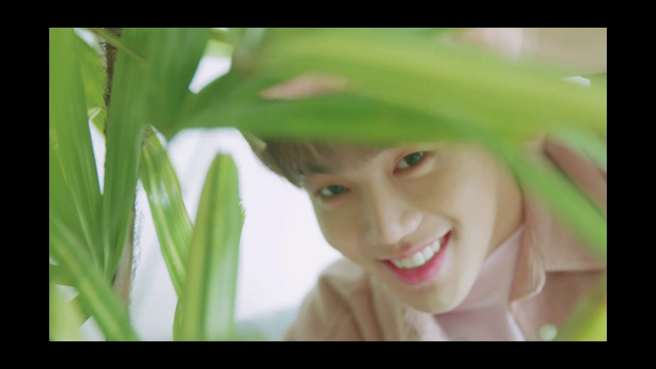 Treasure 13 - Going Crazy FMV
