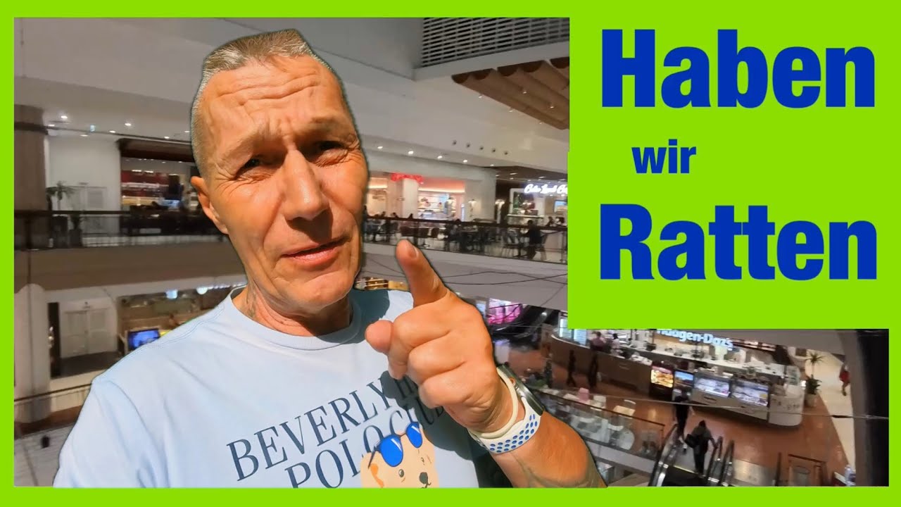 Haben wir Ratten in Pattaya oder Bangkok ?