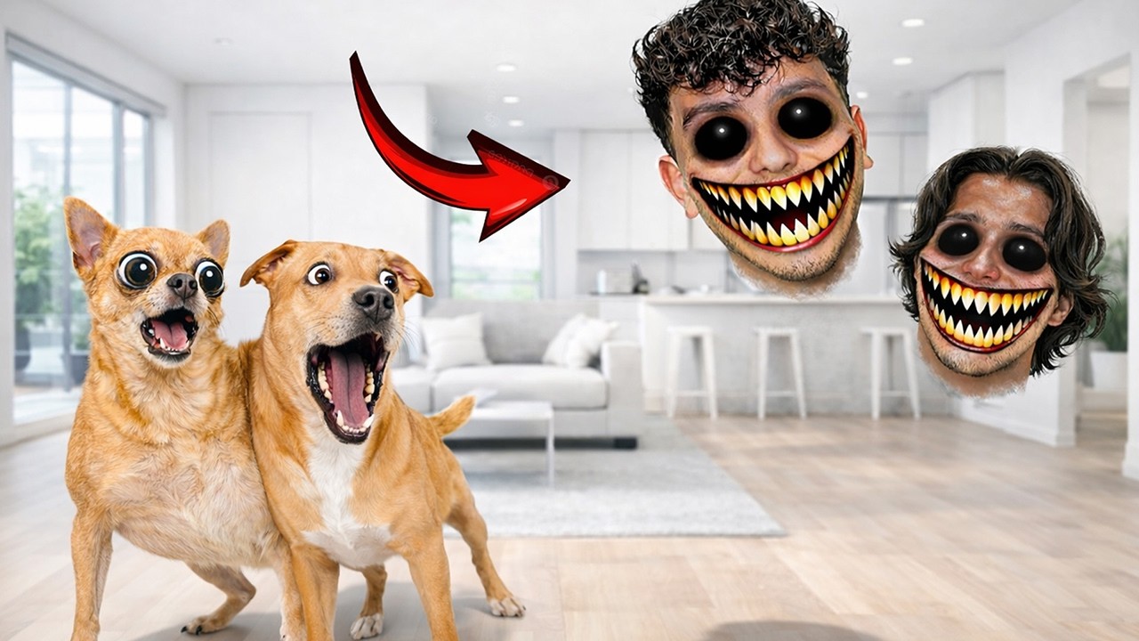 THESE ARE NOT MY OWNERS (REAL FOOTAGE)