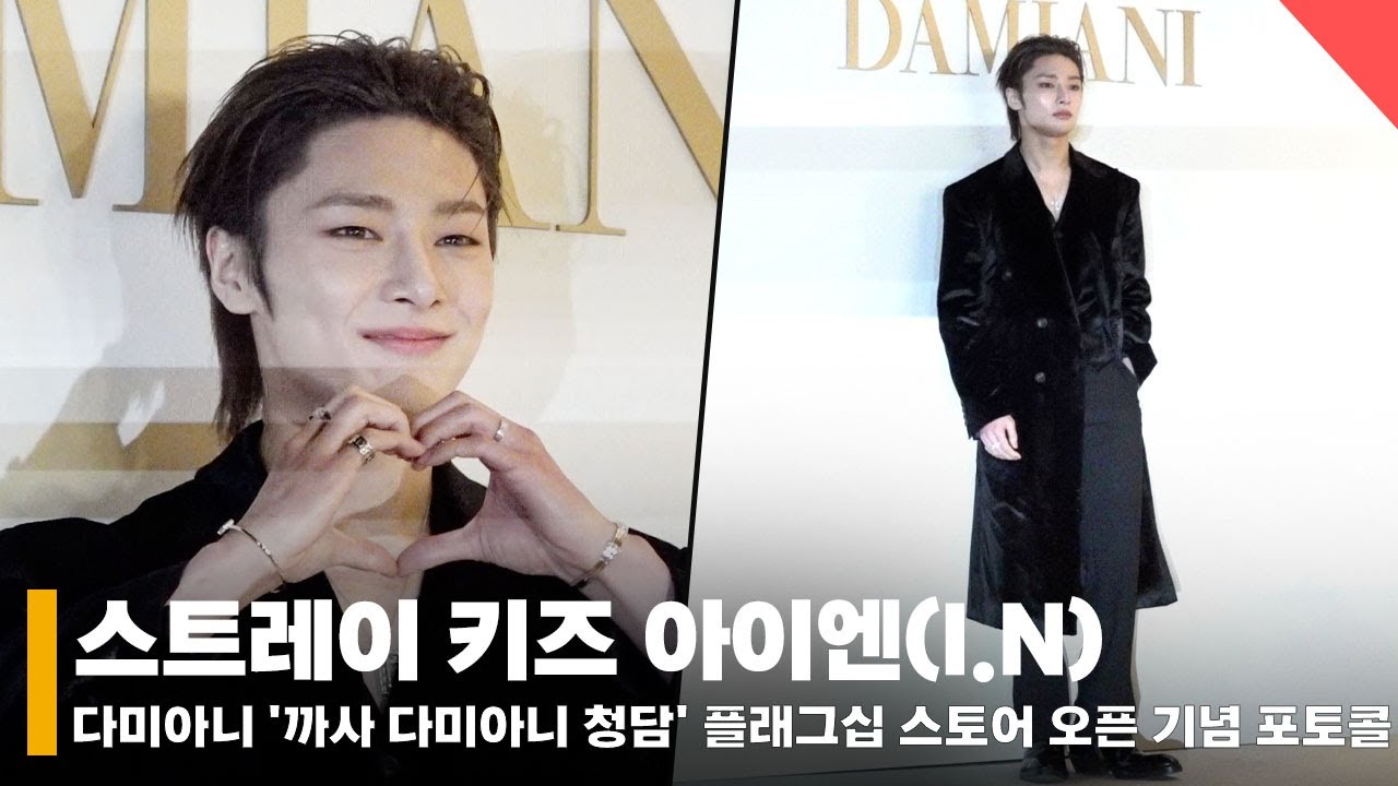 스트레이 키즈 아이엔(I.N), '치명적인 웃음을 보여주는 FOX' #아이엔 #IN #다미아니