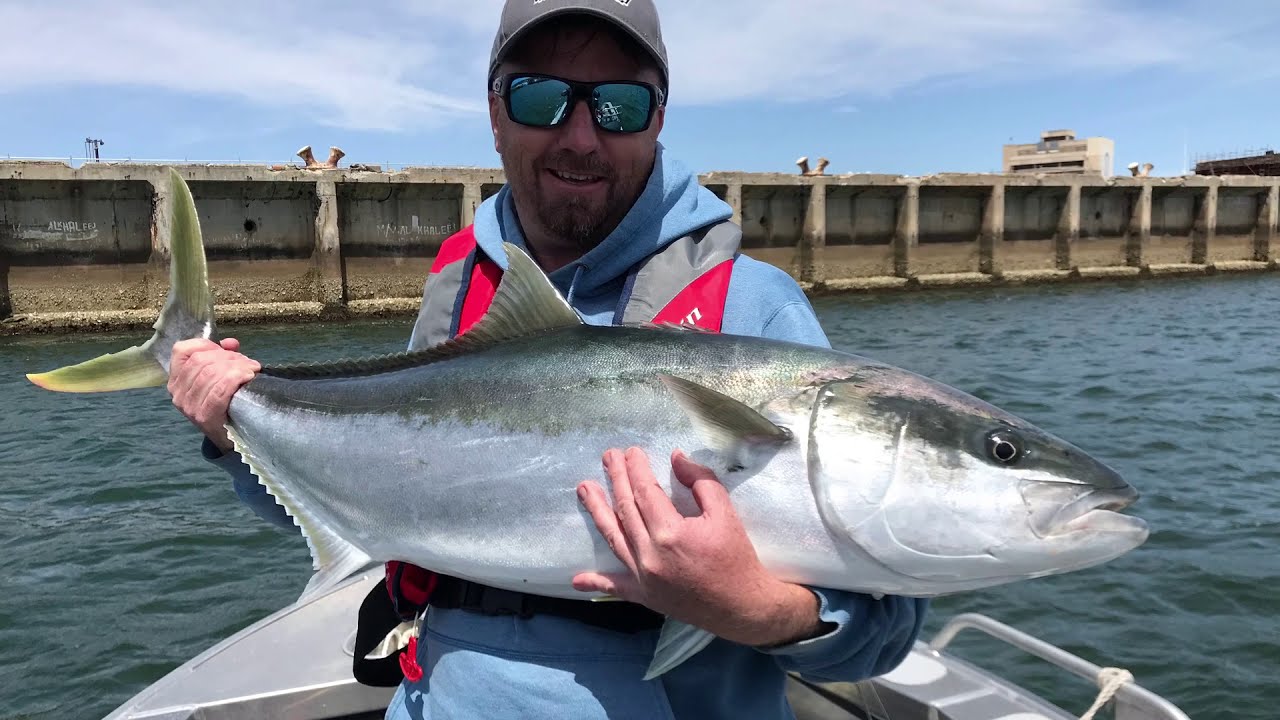 King Fishing/Metro/South Australia