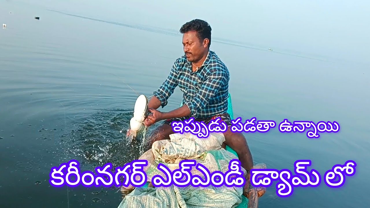 ఇప్పుడు పడతా ఉన్నాయి 🐬yatala shankar volgs యాటల శంకర్ ఫిషింగ్  వీడియో 🐟