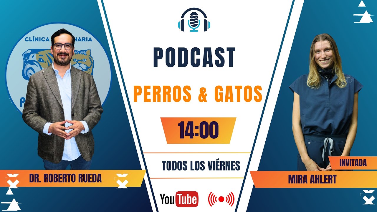 Bienestar y conexión emocional: comprendiendo a perros y gatos desde una mirada consciente