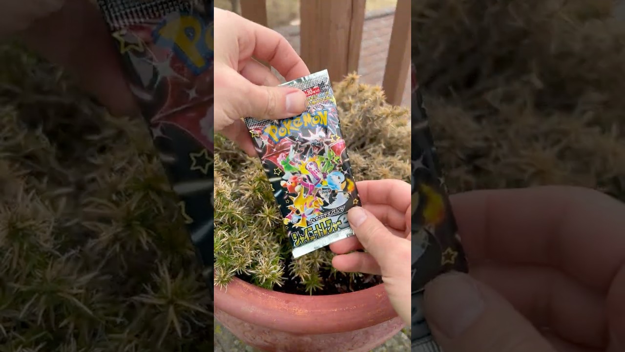 Let's Rip | Shiny Treasure ex #pokemontcg #japanesepokemoncards #pokemoncommunity