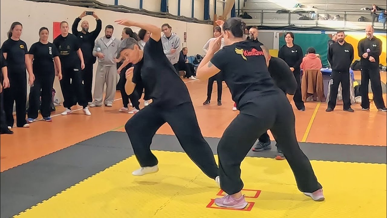 Queen of the Mountain: Fixed Step Taiji Push Hands