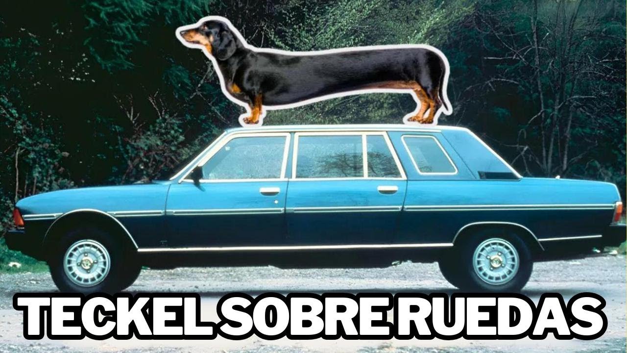 PEUGEOT 604 Limousine HLZ: Lujo francés