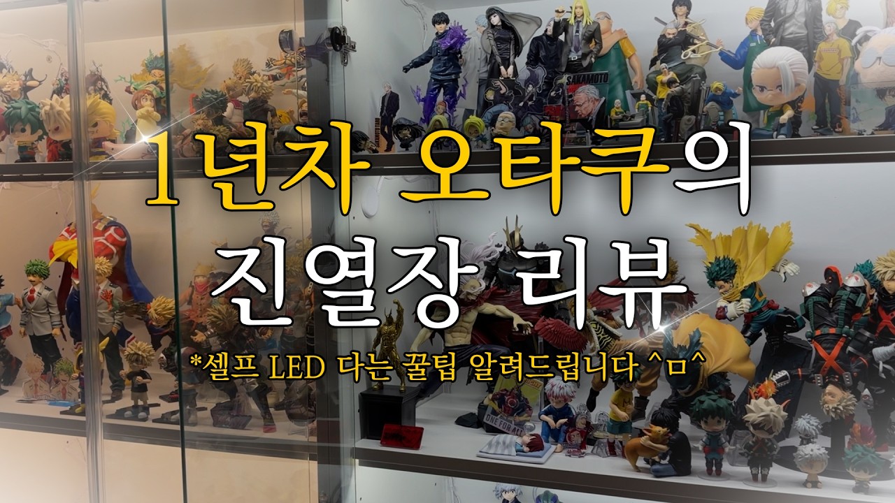 1년차 오타쿠의 진열장 투어, 그리고 셀프 LED 가이드 영상! 💡