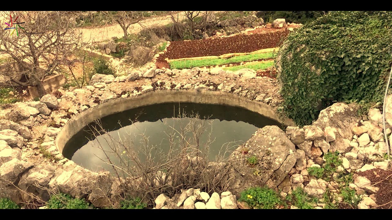 بورجيلة 1