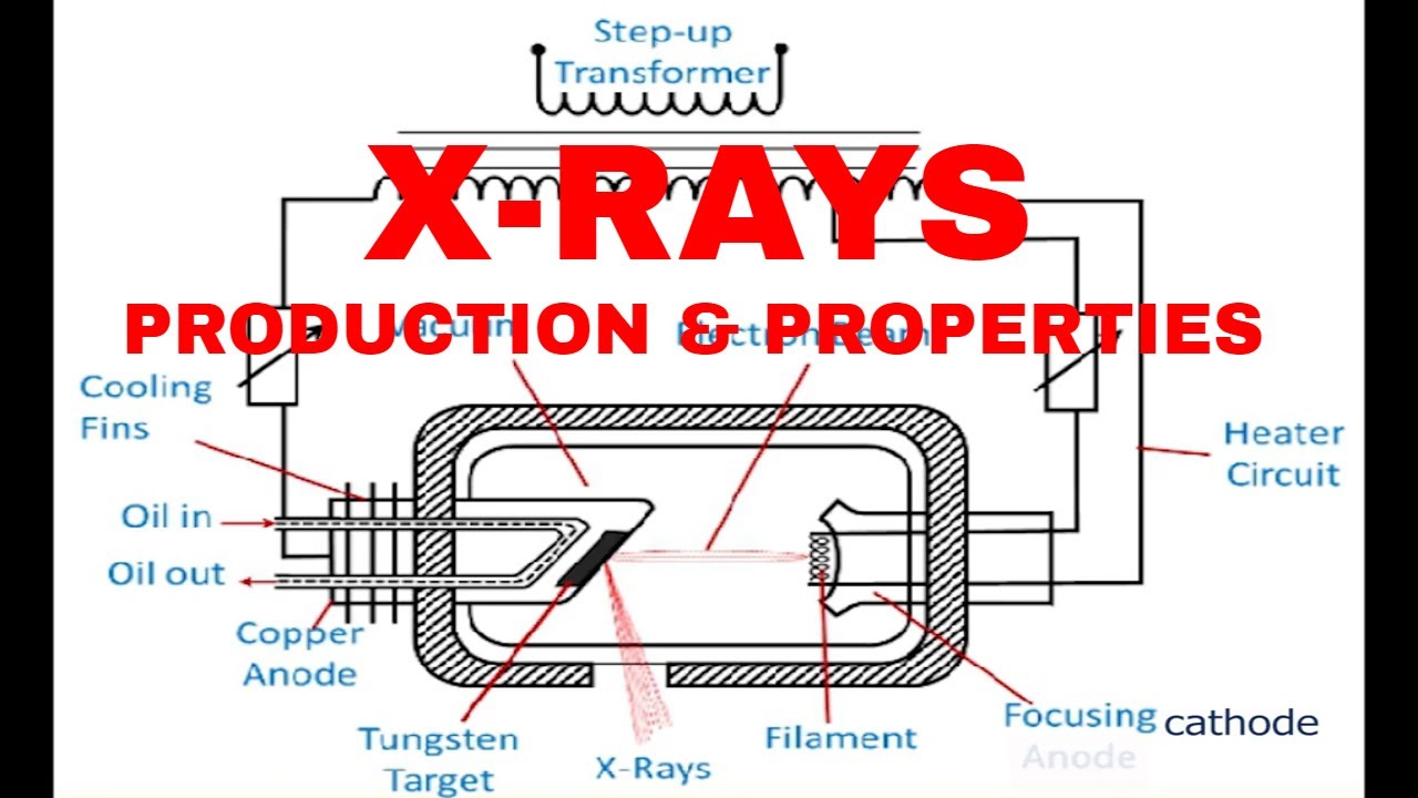 How an X-ray Tube Works | Production of X-rays
